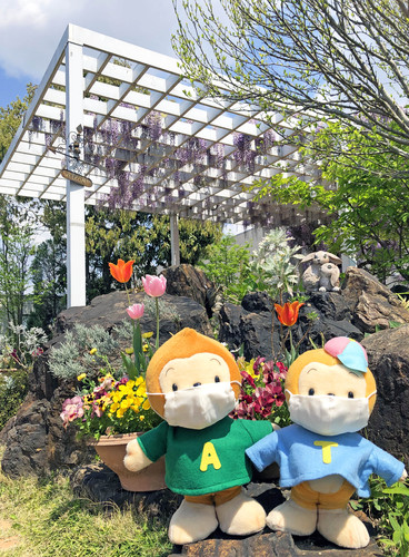 新型コロナウイルス感染拡大防止にもとづく店舗営業対応について。