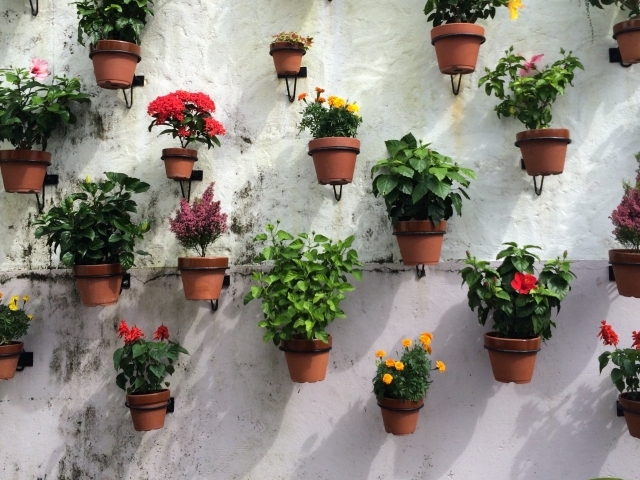 植栽の色選びのコツ